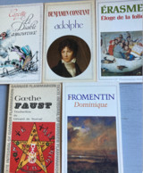 11 Livres Collection Garnier-Flammarion (Cazotte-Constant-Érasme-Fromentin-Goethe-Montesquieu-Platon-Sterne-Villiers De - Lots De Plusieurs Livres