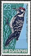 Bulgaria - MNH ** 1978 :  Lesser Spotted Woodpecker -   Dryobates Minor - Picchio & Uccelli Scalatori