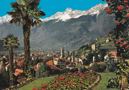 (W282) - MERANO (Bolzano) - Panorama - Bolzano (Bozen)