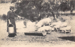 87-CHAPTELAT-LE-MAS-ELOI- COLONIE AGRICOLE ET DE VACANCES DE L'UNION DE LIMOGES - UNCOIN DE LA FERME - Autres & Non Classés