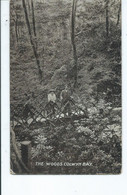 Wales Postcard  Colwyn Bay The Woods Animated Rp Posted 1919 1d Deep Carmine - Denbighshire