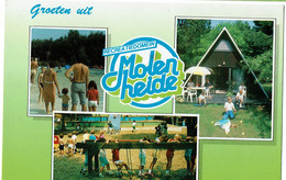 Houthalen Molenheide  Recreatiedomein - Houthalen-Helchteren