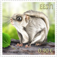 Estonia - 2022 - Estonian Fauna - Siberian Flying Squirrel - Mint Stamp - Estonia