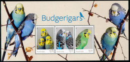 AUSTRALIA 2022 BUDGERIGARS Minisheet*** - Unused Stamps