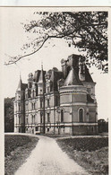 LA TREMBLAIE - INSTITUTION ST-PAUL. Le Château. Cliché Pas Courant - Autres & Non Classés