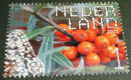 Nederland - NVPH - Xxxx - 2021 - Gebruikt - Used - Beleef De Natuur - Duindoorn - Used Stamps