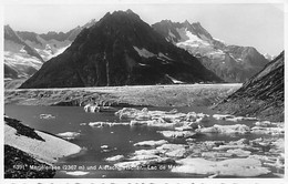 Merielensee Und Aletschgletscher Lac De Merielen Märjelensee Fiesch - Fiesch