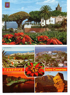 6 Postcard Tenerife - Tenerife