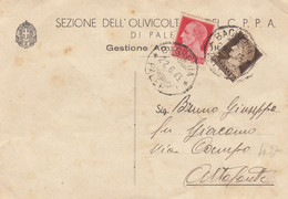 PALERMO /  Sezione Dell'Olivicoltura Dei C.P.P.A. _ Viaggiata 22.6.1943 - Palermo
