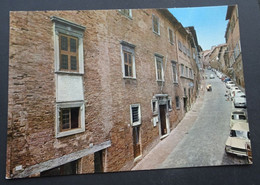 Urbino - Via Raffaello - Casa Natale Di Raffaello - Rotalcolor, Ed. C.M.U. - # 35505 - Urbino