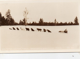 ETATS UNIS ID IDAHO DOG TEAM ON THE TRAIL SARSTOOTH MOUNTAINS IDAHO CARTE PHOTO GLACEE - Andere & Zonder Classificatie