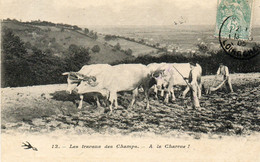 - Les TRAVAUX Des CHAMPS (en NIVERNAIS) - No 12-  à La Charrue, Attelage à 4 Boeufs  -27860- - Otros & Sin Clasificación