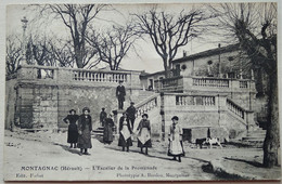 34 - HERAULT - Montagnac - L'escalier De La Promenade - Carte Animée - Montagnac