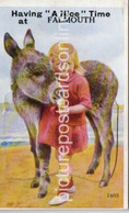 FALMOUTH HAVING A NICE TIME OLD COLOUR NOVELTY PULL OUT VIEWS POSTCARD CORNWALL GIRL AND DONKEY - Falmouth