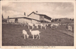 Suisse - Vaud - Vaulion - Chalet Et Sommet De La Dent De Vaulion Chèvres Ziegen Goat - Vaulion