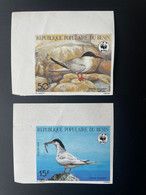 Benin 1989 Mi. 477 - 478 IMPERF ND WWF Panda Sterna Dougallii Oiseau Bird Vogel - Bénin – Dahomey (1960-...)