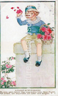 A FLIGHT OF ROSE LEAVES OLD ART COLOUR POSTCARD SIGNED MILLICENT SOWERBY 1917 - Other & Unclassified