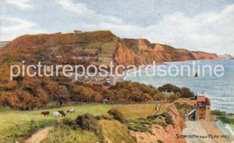 SIDMOUTH FROM PEAK HILL OLD ART COLOUR POSTCARD SIGNED A.R. QUINTON ARQ SALMON NO 1806 - Quinton, AR