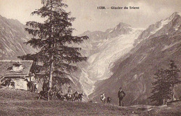 Suisse - Valais - Trient - Glacier Chalet Chèvres Ziegen Goat - Trient
