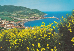 (W312) - MARCIANA MARINA (Isola D'Elba, Livorno) - Panorama - Livorno