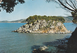 (W316) - MARCIANA (Isola D'Elba, Livorno) - Procchio, Scoglio "La Paolina" - Livorno