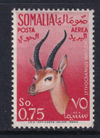 SOMALIA   C  43    *   FAUNA - Somalia