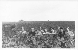 Carte-Photo Dans Lot: Féchy Allaman District De Rolle Vendanges Vignoble Vin Raisin - Noms Et Domicile Des Vendangeurs - Allaman