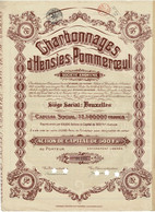 Titre De 1925 - Charbonnages D'Hensies-Pommerœul - Déco - Mines