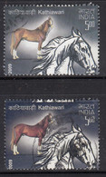 EFO, Colour Variety, Horses, Horse, Animal, India Used 2009 - Variétés Et Curiosités