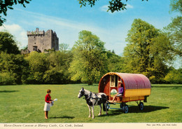 Horse-Drawn Caravan At Blarney Castel, Co. CORK **Scan Recto/Verso - Cork