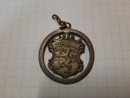 Médaille Luxembourgeoise - Monarchia / Nobiltà