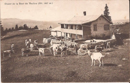 Suisse - Vaud - Vaulion - Chalet Et Dent Chalet Chevres Ziegen Goat - Vaulion