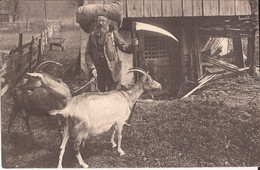 Suisse - NL - Suisse - Kilchberg ? Faux Vieil Homme Paysan Wehrli Postée De Lenk Berger Chevres Ziegen Goat - Lenk Im Simmental