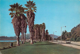 CPSM Santa Barbara-Channel Boulevard    L1786 - Santa Barbara