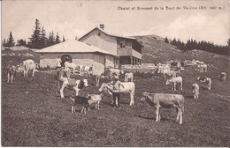 Suisse - Vaud - Vaulion - Chalet Et Sommet Alt.1487m.vache Chevre Ziege Goat - Vaulion