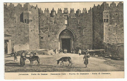 CPA, Palestine , N°17,  Jérusalem , Porte De Damas - Palestine