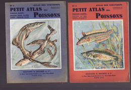 PETIT ATLAS DES POISSONS 4 Tomes éditions BOUBEE Tome 3 édité En 1943 Les Autres En 1946 - Animaux