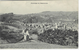 NESSONVAUX : Panorama - Trooz