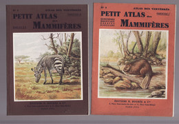 PETIT ATLAS DES MAMMIFERES 2 Tomes éditions BOUBEE 1946 - Animaux