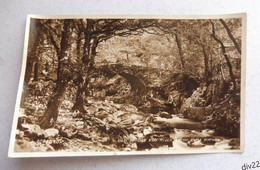 Old Bridge And River Artro CWM BYCHAN - Merionethshire