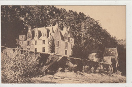 DEPT 37 : Reugny Château De La Cote : Leicagraphie Damon Tour - Reugny