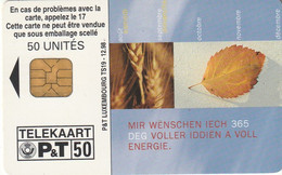 LUXEMBURGO. TS19. Bonne Année 1999. 12-1998. 15000 Ex. (098) - Luxembourg