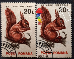 Animals Fauna  Squirrel  Errors Romania 1993 # Mi 4903 Printed With  Misplaced Writer Image - Errors, Freaks & Oddities (EFO)