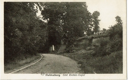 Huldenberg  Sint Rochus Kapel - Huldenberg