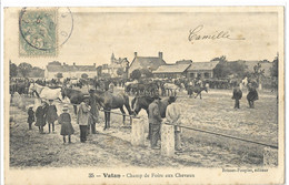 36  VATAN  CHAMP  DE  FOIRE  AUX  CHEVAUX - Autres & Non Classés