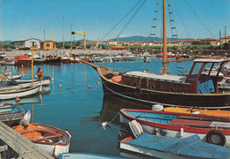 Cecine Mare - Petit Port - Livorno