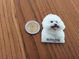 Magnet « Bichon Frisé » (chien) - Magnets