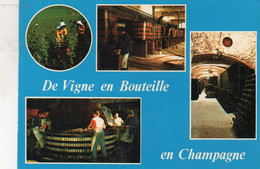 DE LA VIGNE EN BOUTEILLE EN CHAMPAGNE - Multivues - Champagne - Ardenne