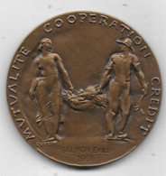 Médaille Ministère De L' Agriculture - Mutualité Coopération Crédit - Professionnels / De Société