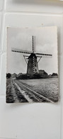 Overpelt Windmolen 1964 - Overpelt